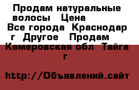 Продам натуральные волосы › Цена ­ 3 000 - Все города, Краснодар г. Другое » Продам   . Кемеровская обл.,Тайга г.